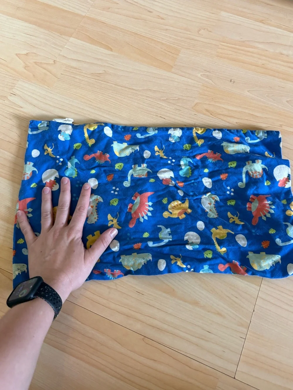 Blue Kids toddler pillow case with Colorful dinosaur Creature Print
